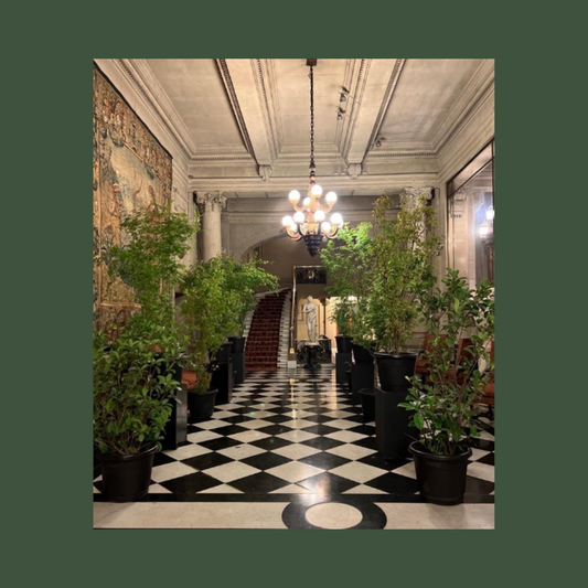 PLANTAS 3